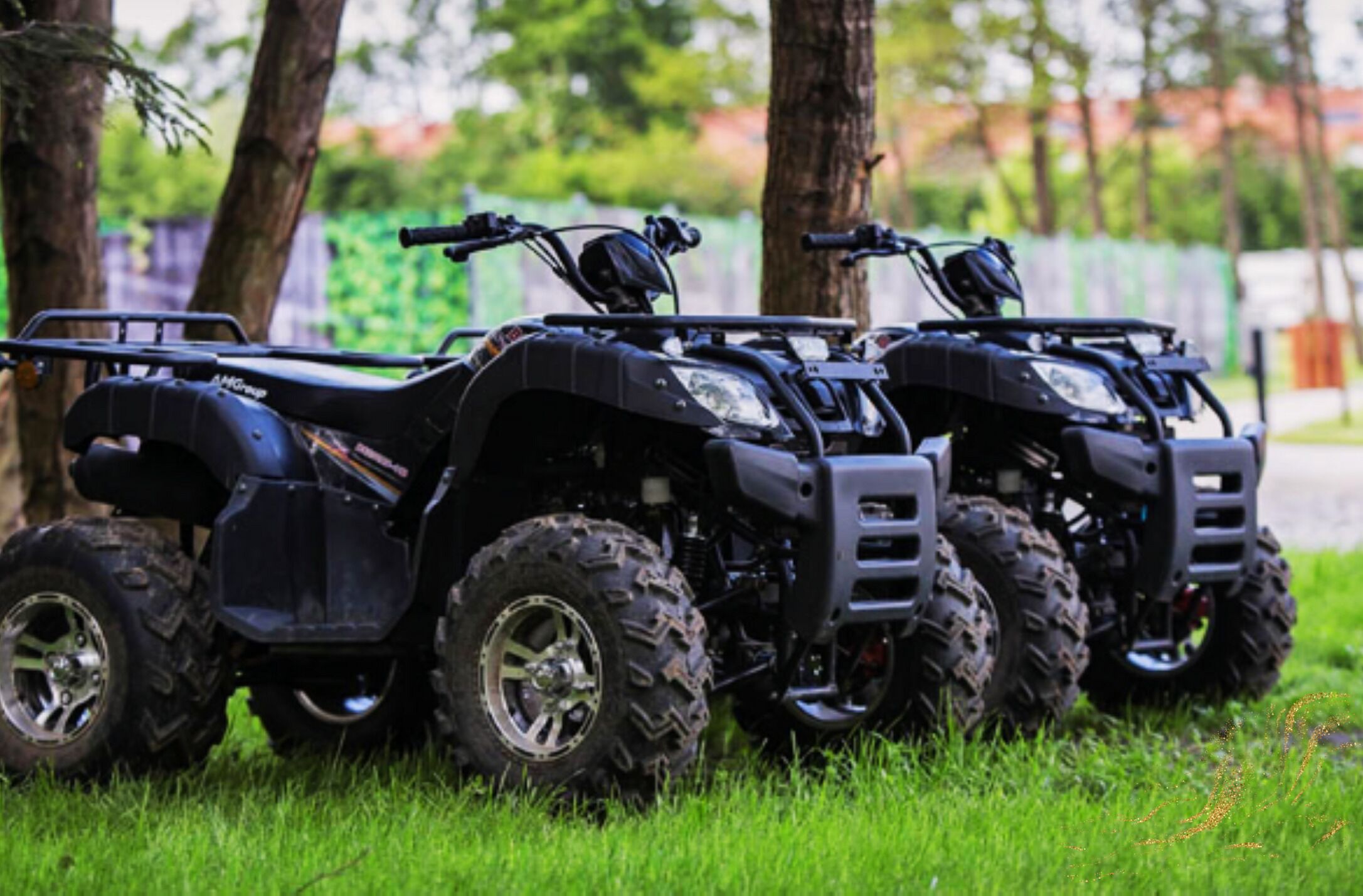 Three ATVs parked in a grassy area with trees in the background.