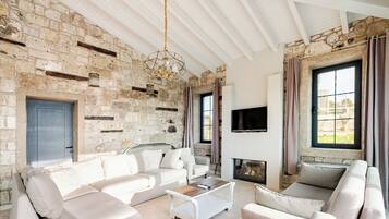 Smart TV, fireplace, books