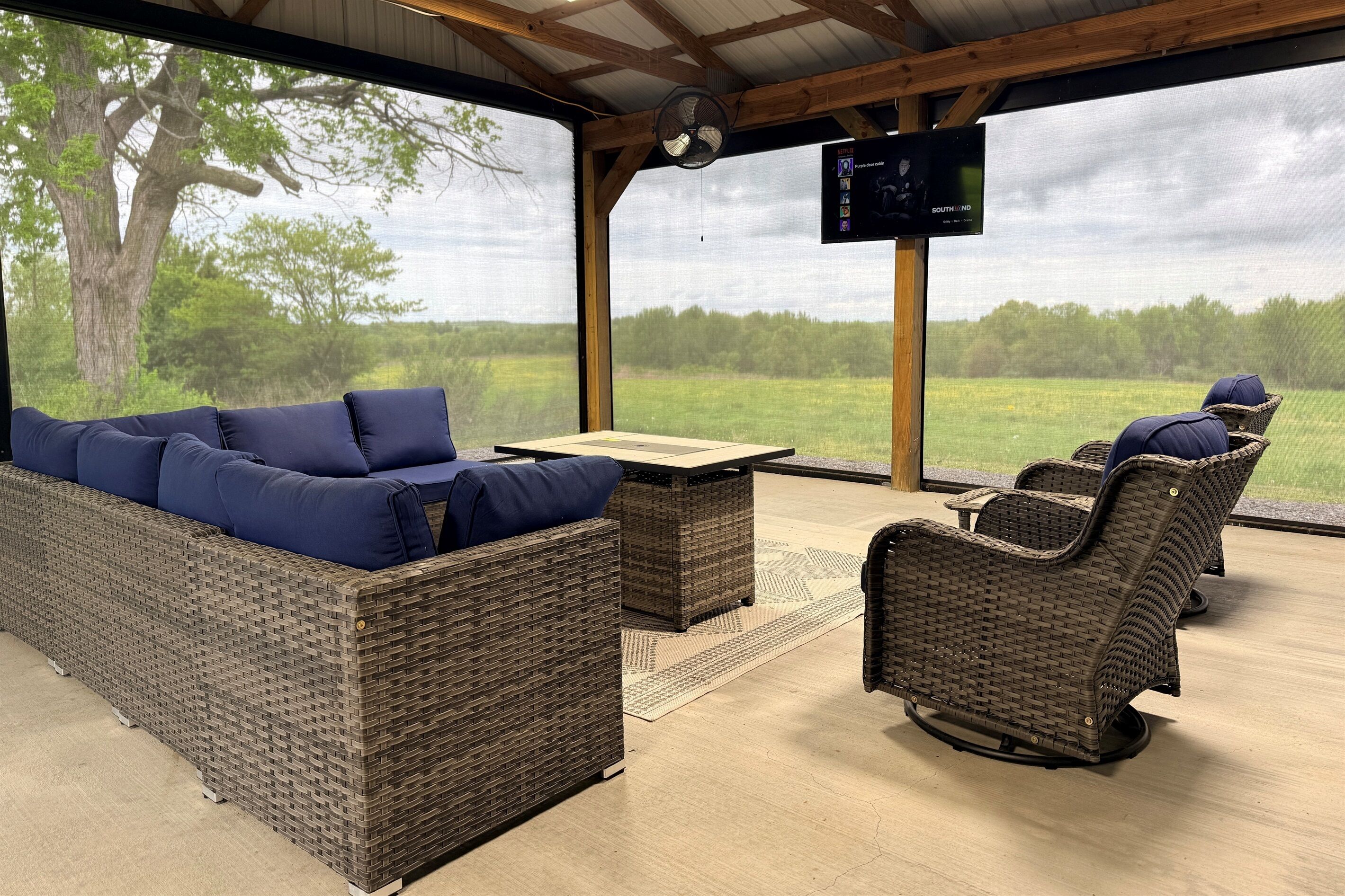 Remote controlled retractable screens + TV