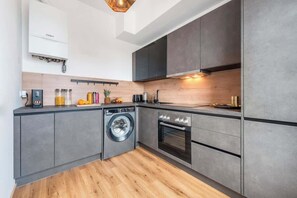 Fridge, oven, stovetop, dishwasher - Artistic Apartment, 1-Bedroom, Flat TV (Vienna)