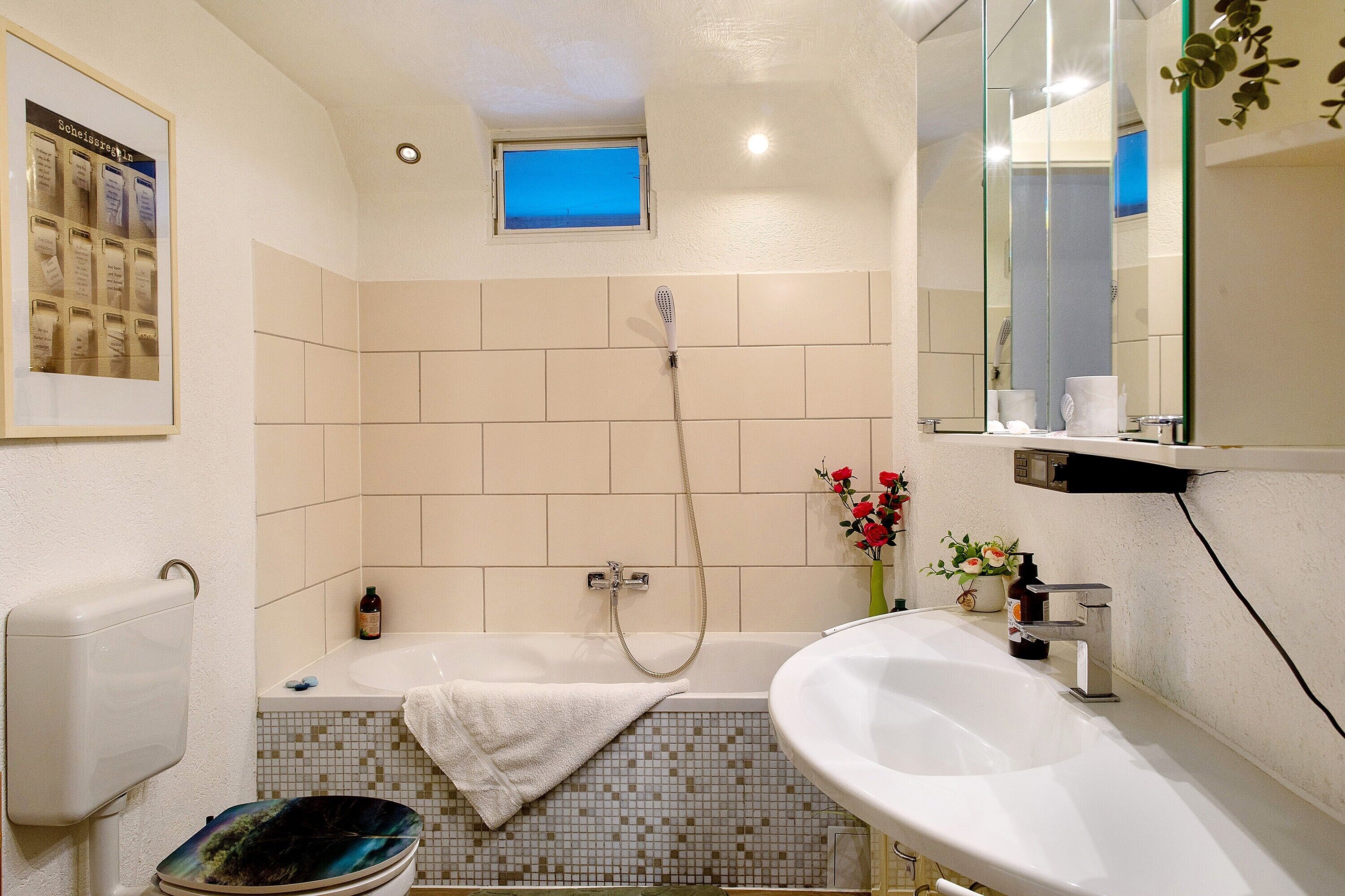 Dusche, Haartrockner, Handtücher