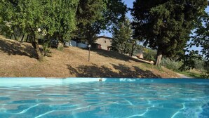 A swimming pool with clear water, surrounded by trees and a hillside with a building in the background. - Agriturismo Palaia - Le Botti Spacious Apartment in Farmhouse with Pool (Pelago)