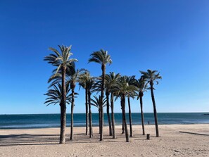 Playa