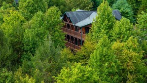 Eine Hütte, umgeben von dichtem Wald.