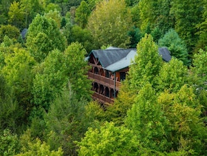 A cabin surrounded by dense forest. - Dogwood Grand Cabin Hot tub and Games (Gatlinburg)