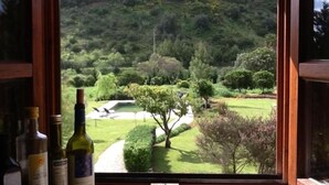 Vista desde una ventana sobre un paisaje verde y exuberante, con una colina al fondo.