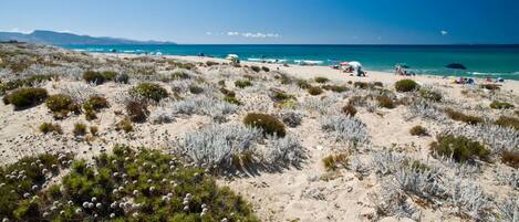 Departamento, 1 habitación, balcón, vista al océano | Exterior