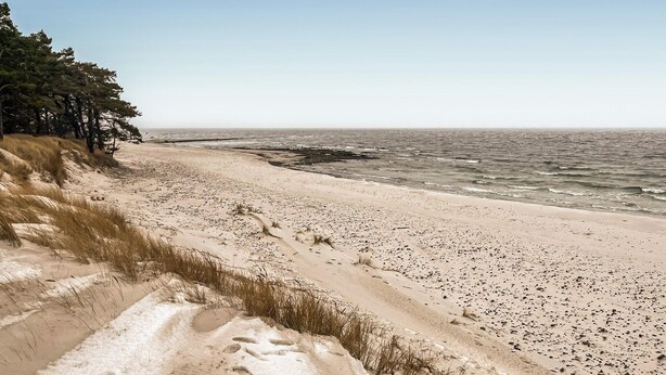 Ein Strand mit sandigem Ufer, spärlicher Vegetation und ruhiger See.