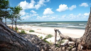 A beach with a sandy shore, a few trees, and a clear sky. - Awesome apartment in Ostrowo with sauna (Ostrowo)