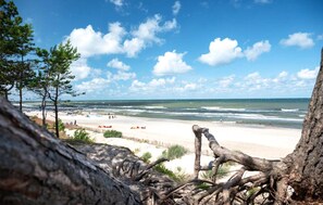 Beach - Awesome apartment in Ostrowo with sauna (Ostrowo)