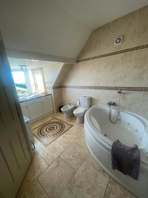 Shower, hair dryer, bidet, towels