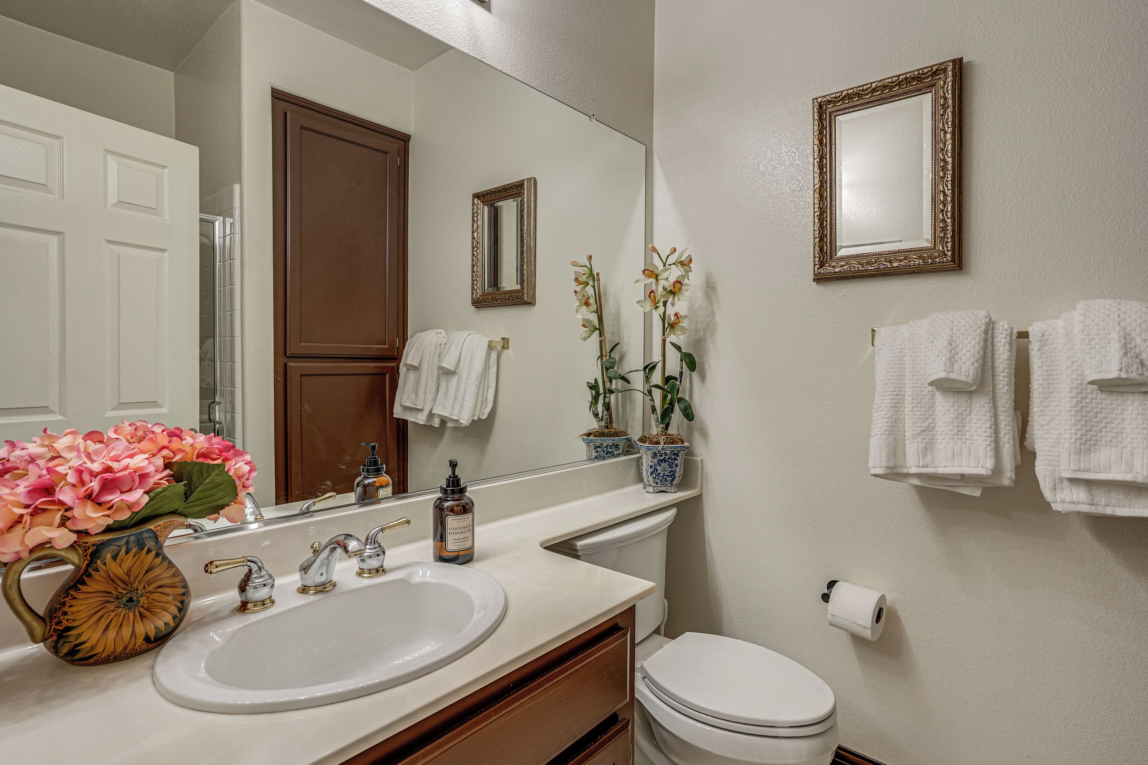 A bathroom with a white sink, a mirror, a toilet, and two potted orchids.