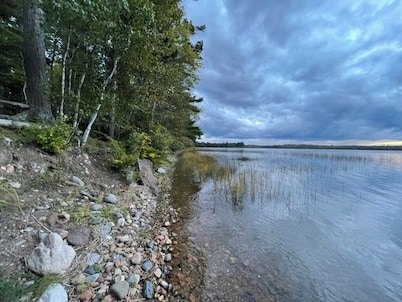 Waterfront 'wildflower Cottage' w/ Private Dock!