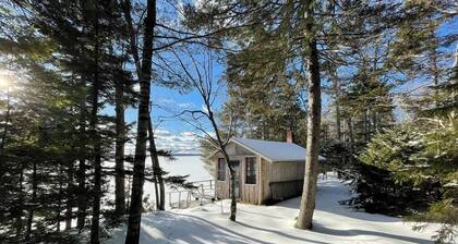 Waterfront 'wildflower Cottage' w/ Private Dock!