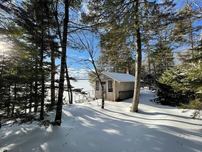 Waterfront 'wildflower Cottage' w/ Private Dock!