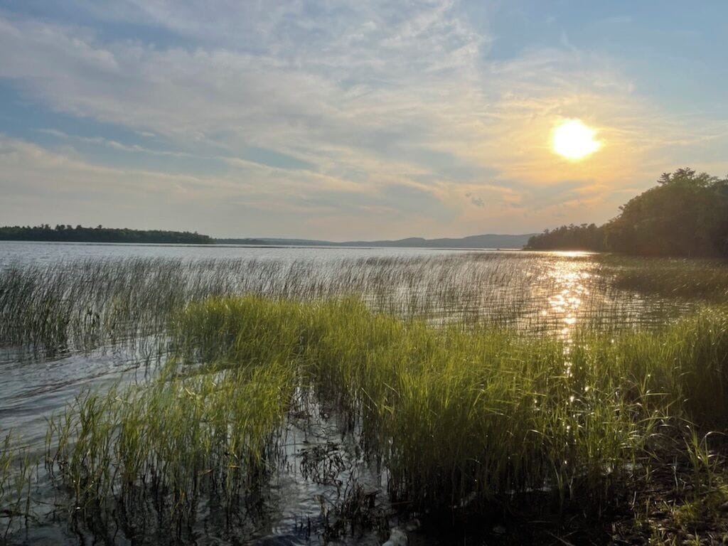 Cottage (1 Bedroom) | Front of property