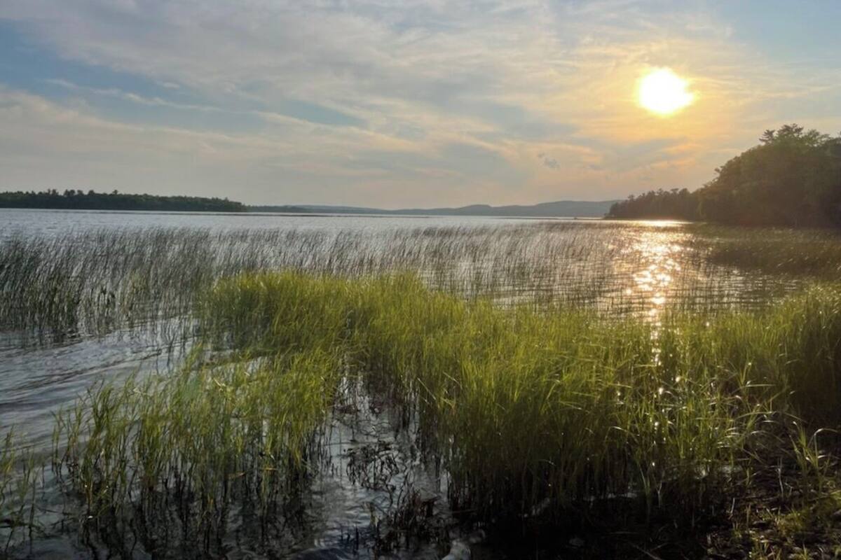 Cottage (1 Bedroom) | Front of property