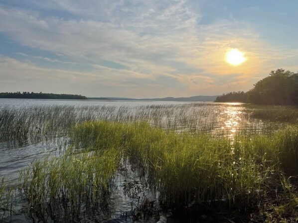 A calm body of water with tall grasses in the foreground and a clear sky with the sun setting or rising in the background. - Waterfront 'wildflower Cottage' w/ Private Dock! (Perry)