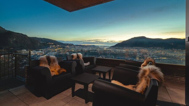 Una terrazza con mobili neri e due cani avvolti in coperte, con vista su un panorama urbano al crepuscolo.