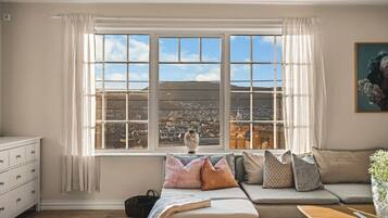 Televisión, chimenea