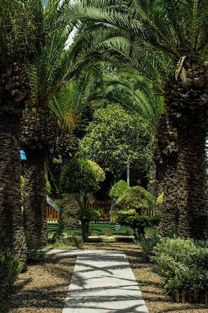 Property grounds. NALU Latchi Leonardo Limited Edition