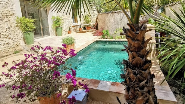 A pool surrounded by potted plants and a palm tree. - Mas en pierre, piscine et jardin privés, 2ch, 5 pers, 10min du Pont du Gard (Meynes)