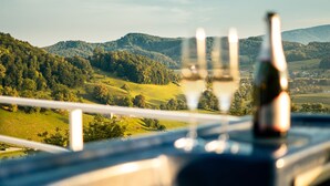 A wine glass and bottle on a table with a view of a green valley and hills.