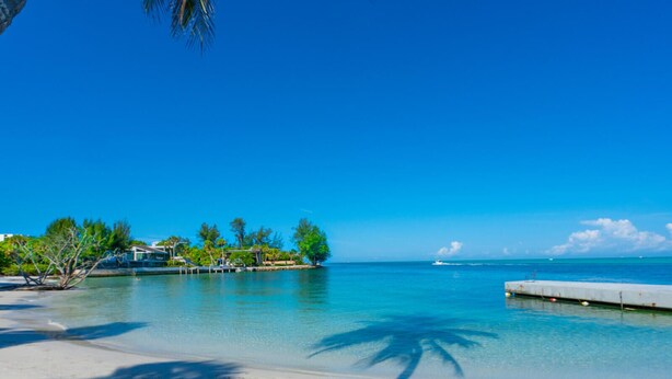 A beach with clear turquoise water, white sand, and palm tree shadows. - PRIVATE BEACH ACCESS, SPRING-FED LAKE, WALK TO SIESTA KEY VILLAGE! (Siesta Key)