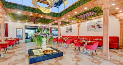 Collection O MIT Alandi