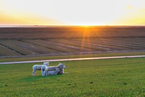 未分类图片，第 4 张，共 35 张，按钮