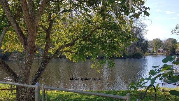 Une vue paisible sur un lac, avec une zone délimitée par une clôture, des arbres et un ciel dégagé.