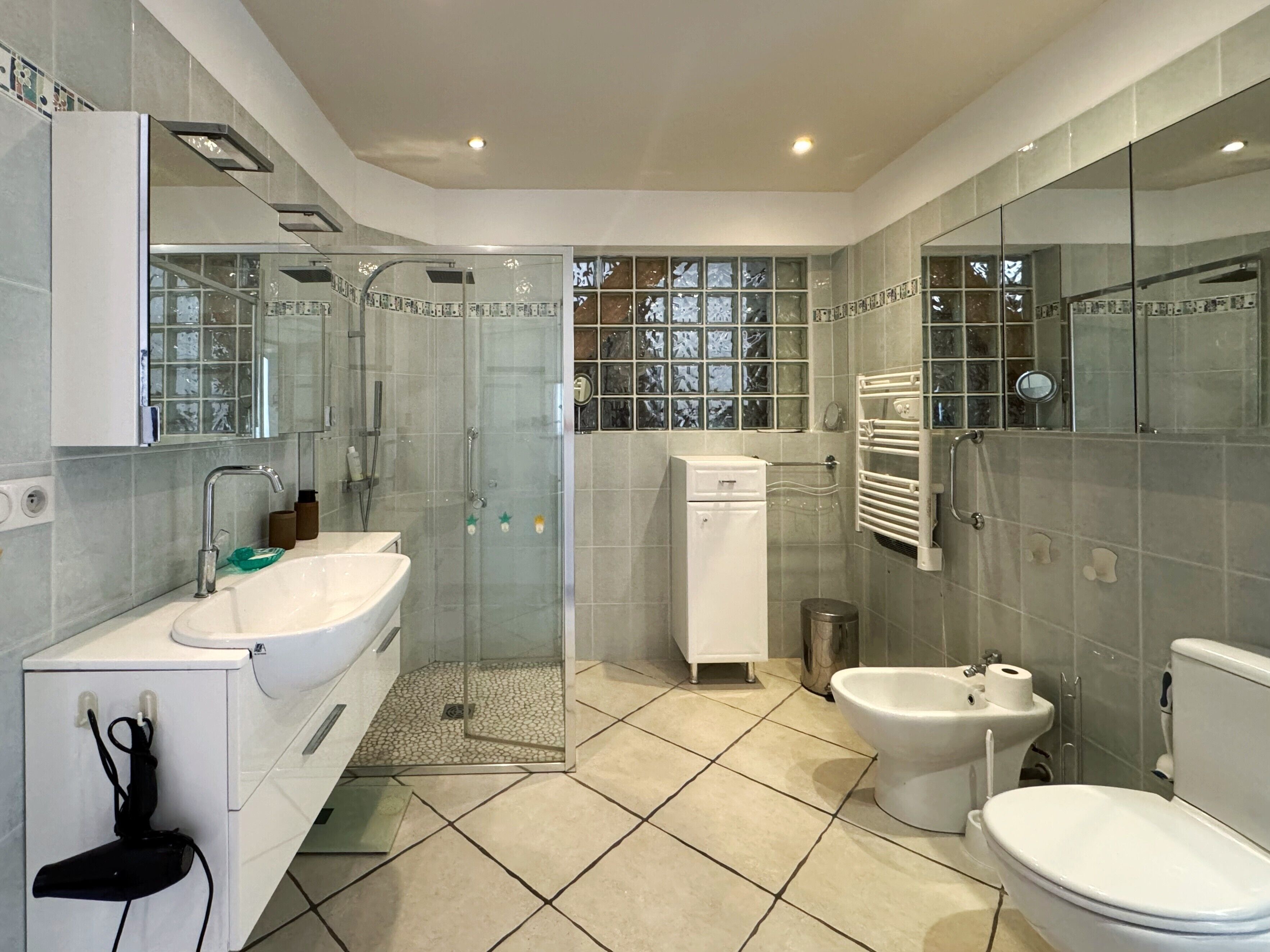 Shower, hair dryer, bidet, towels