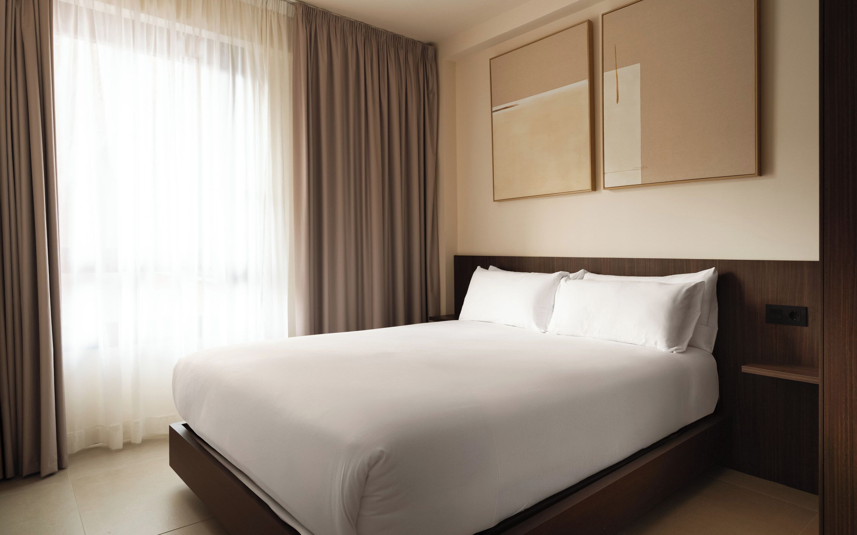 One-Bedroom Apartment with sofa bed