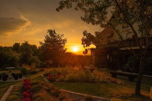 A sunset view with a garden path, trees, and a building. - Family apartment with playground, animals and nature view - Celje area (Štore)