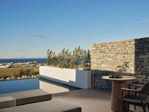 Phòng Suite Cao cấp, quang cảnh vườn