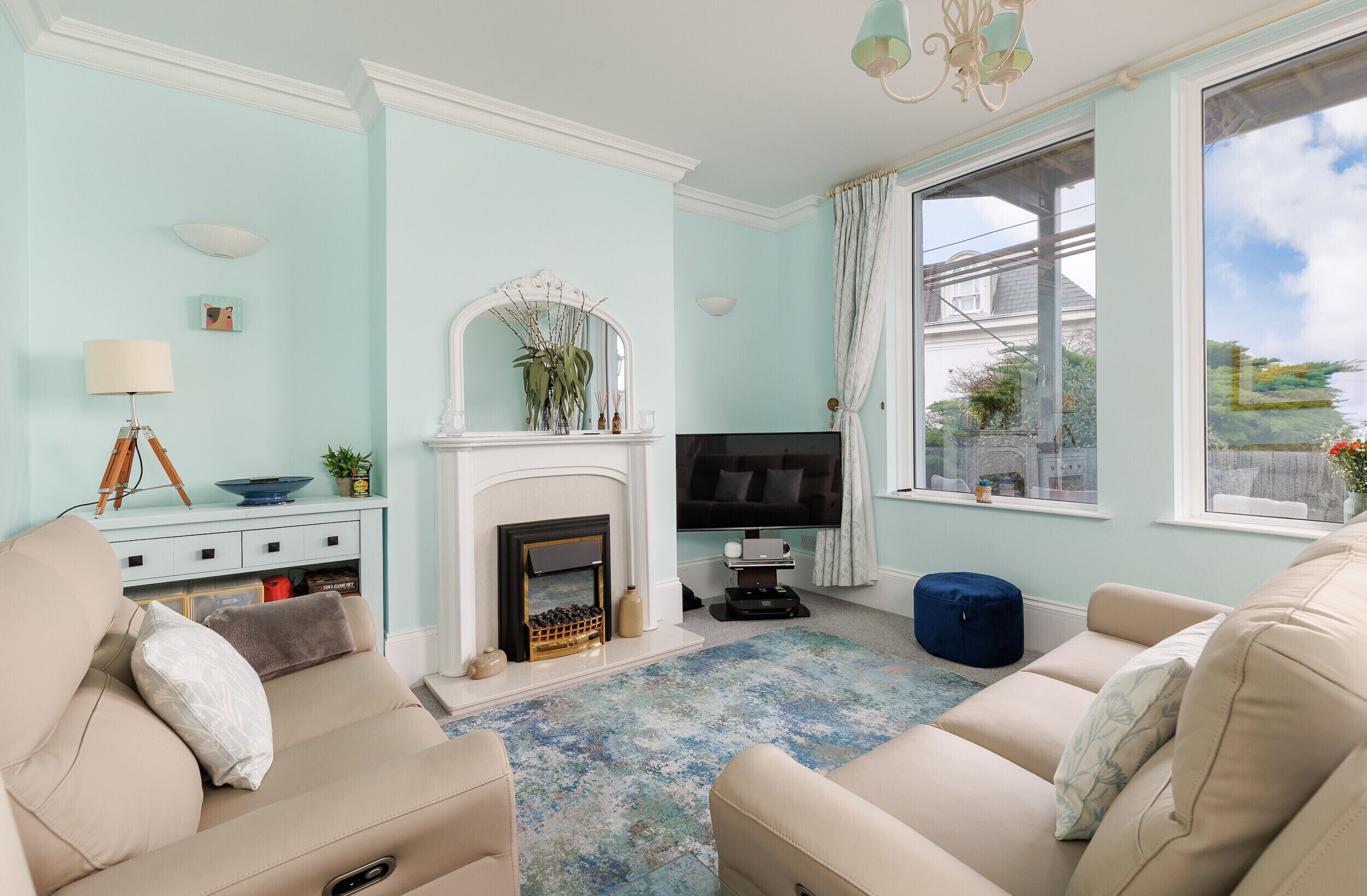 电视、DVD 播放器