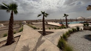 Zona de piscina d'un complex amb palmeres, un camí de formigó i un cel serè.