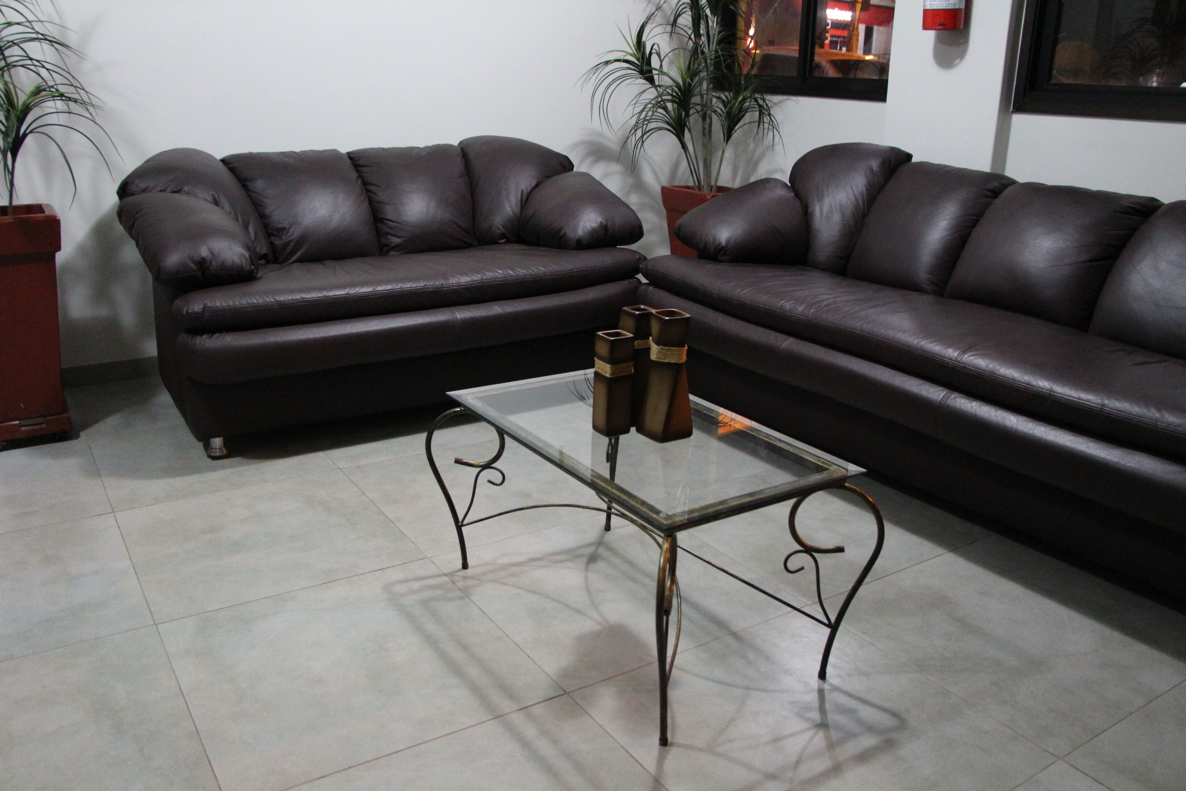 A living room with two dark brown leather sofas, a glass coffee table with metal legs, and two potted plants.