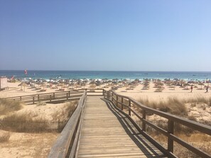 A wooden boardwalk leading to a beach with umbrellas and lounge chairs. - Apartment - Near the Beach - Pool - Garden View - Lagos (Lagos)