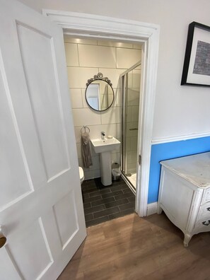 Hair dryer, towels, soap, toilet paper - Colourful and spacious house with large back garden near city centre (Dublin 6W)