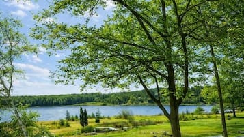Terrain de l’hébergement