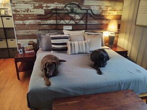 Uklassifisert bilde, 2 av 17, knapp