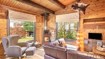 Tv, eldstad och en stereo