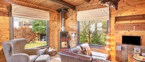 電視、壁爐、音響