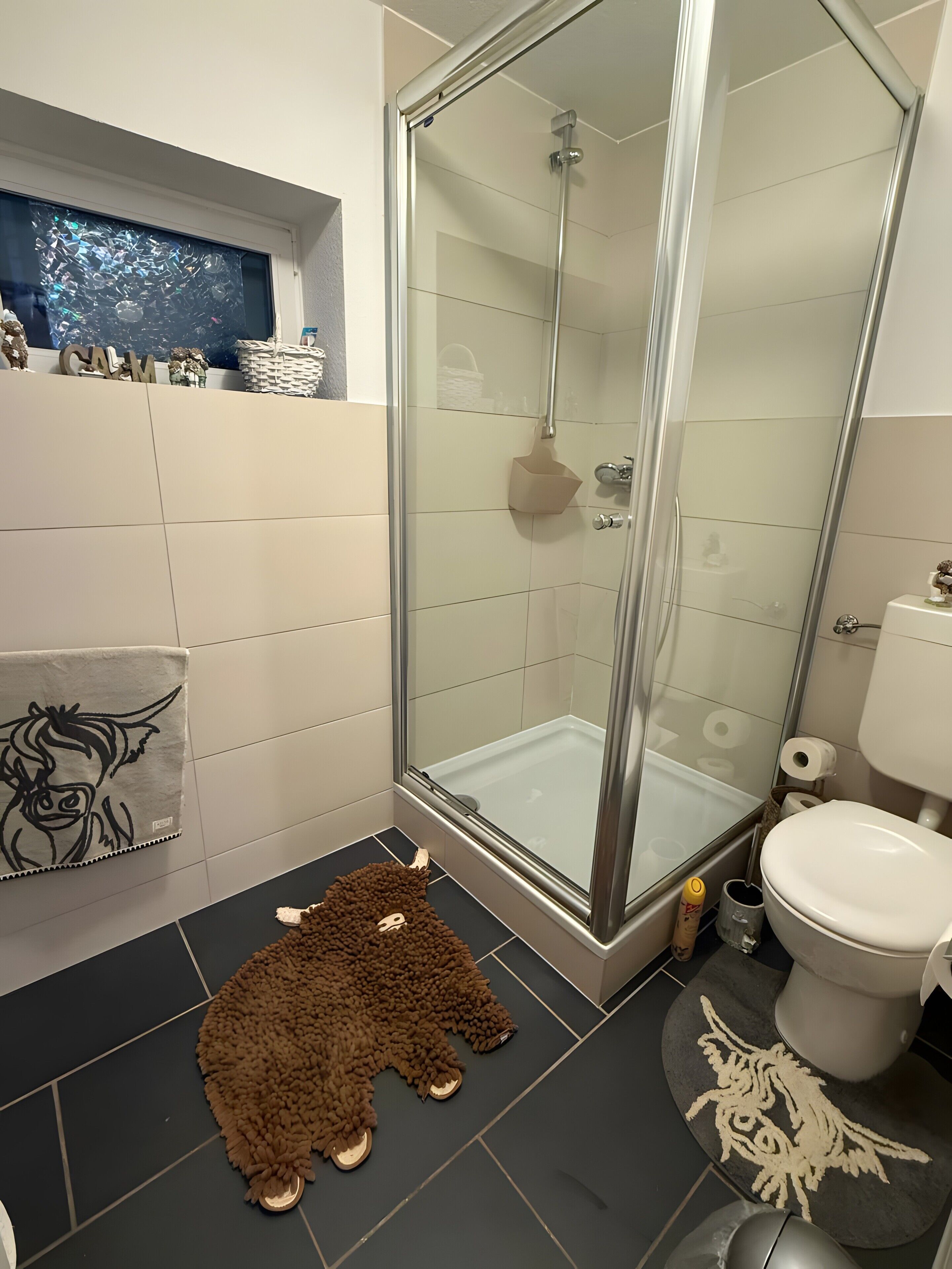 Shower, towels