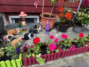 Unclassified image, 2 of 16, button - Apartment 'Silbergarten' with Wi-Fi (Clausthal-Zellerfeld)