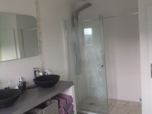 Shower, hair dryer, toilet paper