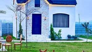 A house with a stone facade, a blue door, and a small garden with chickens. - Countryside Heaven Farm (Kharar)