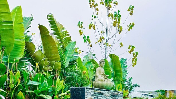 Ein Pool mit einer Buddha-Statue, umgeben von üppiger Vegetation.