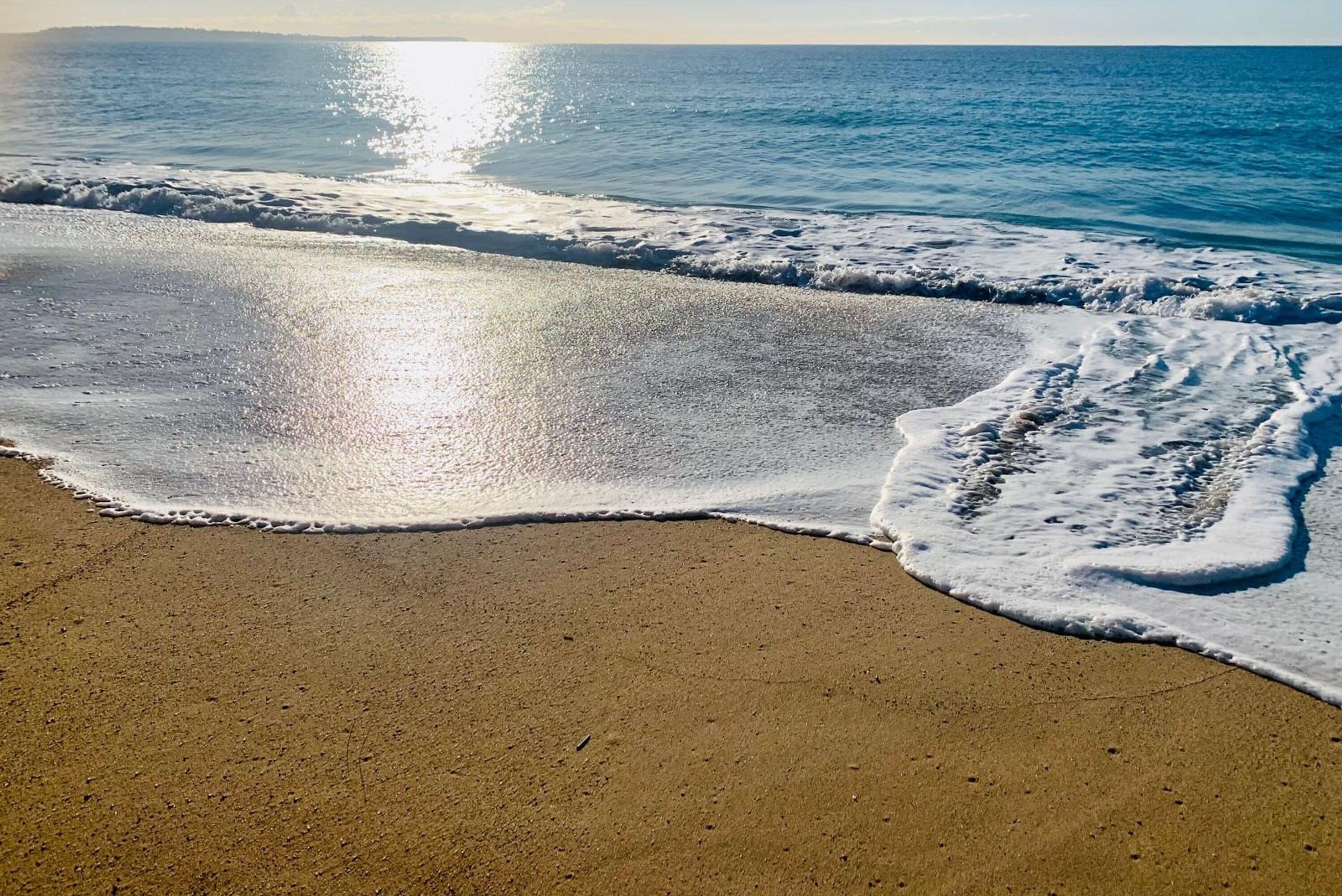 Appartement | 5 chambres